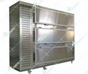 3 doors mortuary chamber cold storage 3 bodies  morgue refrigerator with full stainless steel