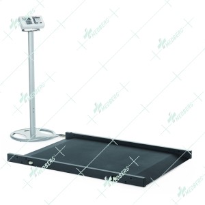 Platform Weighing Scale