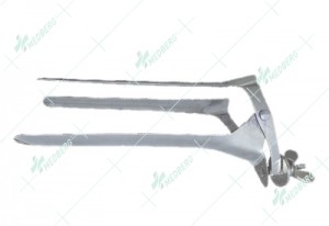 Speculum ( Polansky )