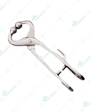 Bull Lead With  Hook S/Steel.