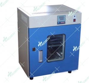 Intelligent Blast Drying Oven