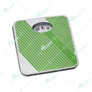 Personal Weighing Scale 