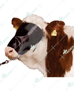 Halter with face cover 