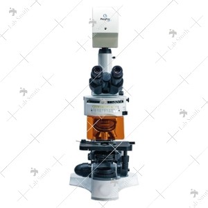 Fluorescence Microscope 