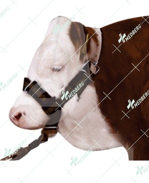 Halter Made of Nylon 2”