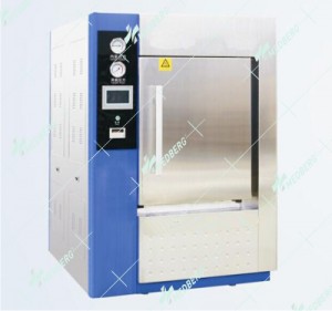 Washing Sterilizer