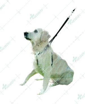 Dog Harness Made of Nylon