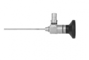 Maxillary Endoscopy