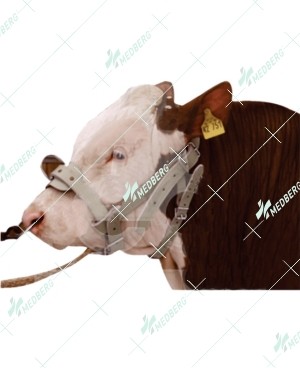 Halter Made of Strong Leather 1”