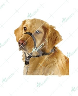 Dog Harness Made of Leather