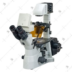 Inverted Tissue Culture Microscope 