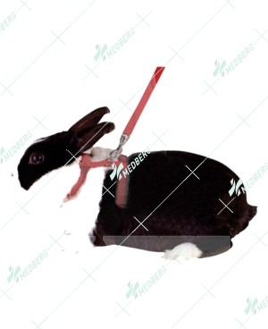 Rabbit Harness Nylon.