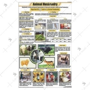 Animal Husbandry Chart