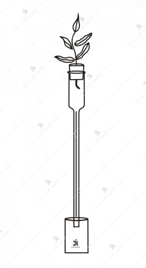 Apparatus for demonstrate suction due to transpiration. A capillary tube with funnel at top and scale attached.