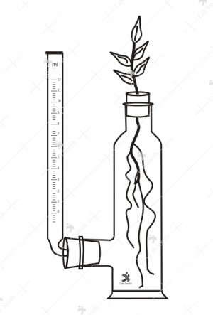Apparatus for determining the quality of water absorbed and given off by transpiring plants, bottle, side tube.