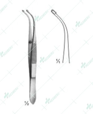 Arruga Forceps