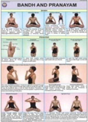 Bandhas & Pranayam Chart
