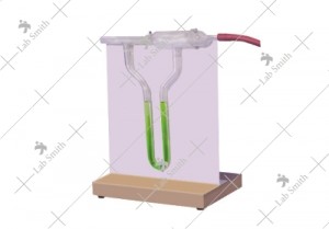 Bernoulli Tube