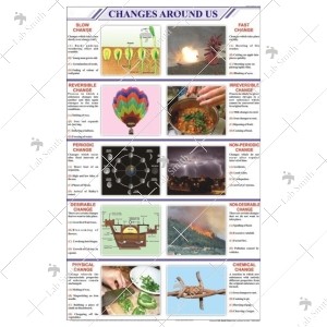Changes Around Us Chart