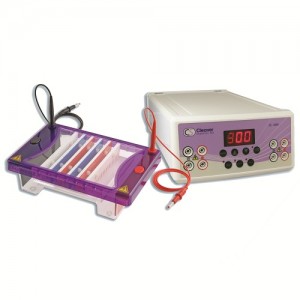 Choice Horizontal Electrophoresis Packages