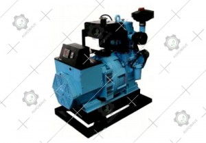Close Couple Genset