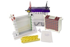 Complete WAVE Maxi System for 2-D Electrophoresis & High Intensity Blotting