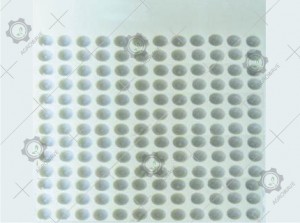 Counting and Placement Trays 