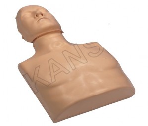 CPR Traing Mankin (Torso)