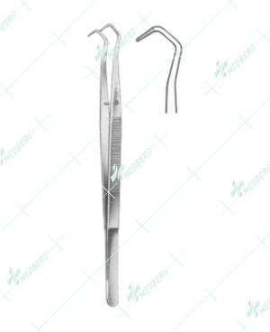 Dental Tweezers, College Serrated, 14.5 cm