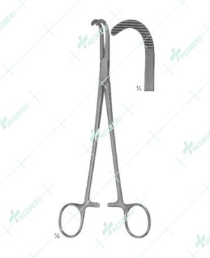 Desjardins Forceps