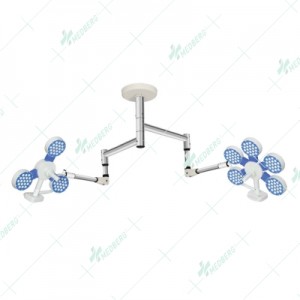 Double Dome Ceiling Lamp MBI-CT-5-3
