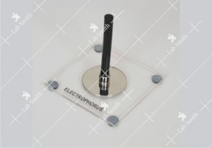 Electrophorus