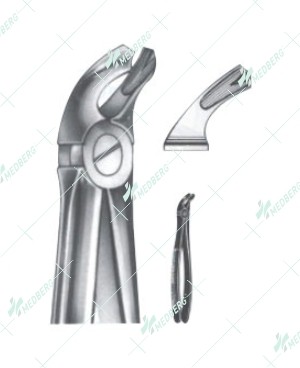 Extracting Forceps - English Pattern, lower molars