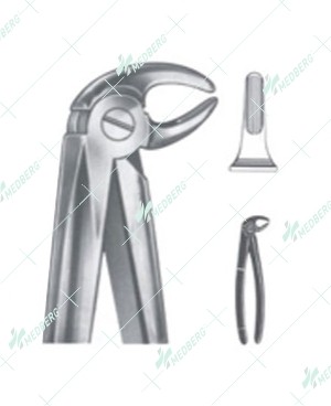 Extracting Forceps - English Pattern, lower premolars