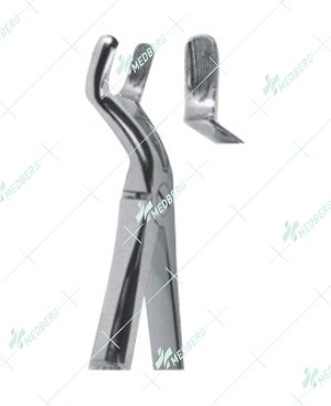Extracting Forceps - English Pattern, upper third molars