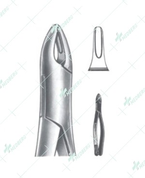 Extracting Forceps – American Pattern, B Upper roots, anterior