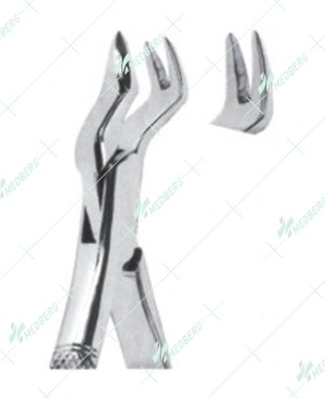 Extracting Forceps – American Pattern, L Upper molars, left