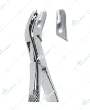 Extracting Forceps – American Pattern, R Upper molars, right