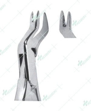 Extracting Forceps – American Pattern, R Upper molars, right