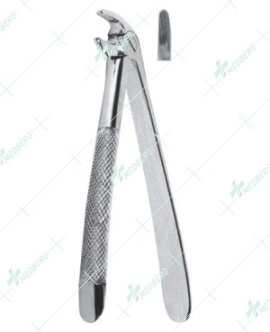 Extracting Forceps – English Pattern, Lower premolars with serrated tips