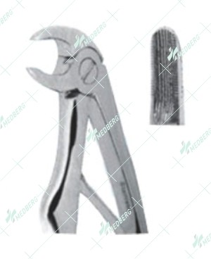 Extracting Forceps – Klein Pattern, Lower incisors with serrated tips, for children