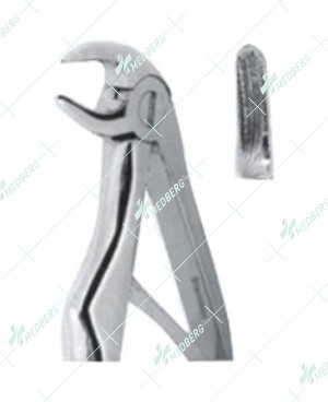 Extracting Forceps – Klein Pattern, Lower roots with serrated tips