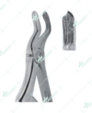 Extracting Forceps – Klein Pattern, Upper molars with serrated tips