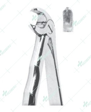 Extracting Forceps, Lower molars with serrated tips