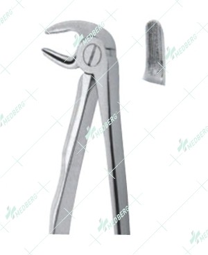 Extracting Forceps, Lower premolars with serrated tips