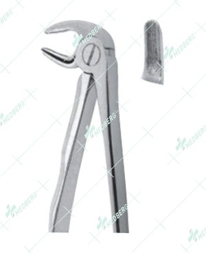 Extracting Forceps, Lower premolars with serrated tips