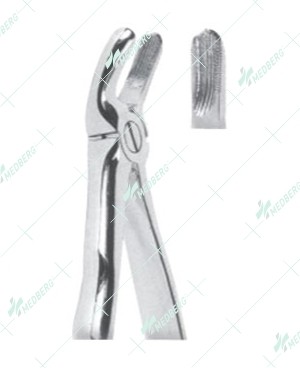 Extracting Forceps, Upper molars, left with serrated tips