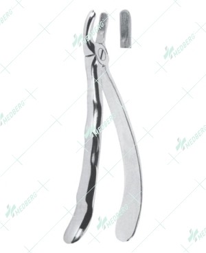 Extracting Forceps, Upper molars, right