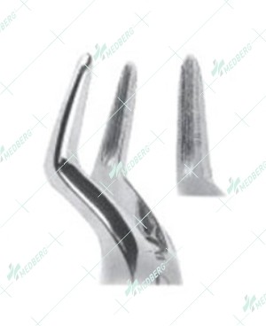 Extracting Forceps, Upper roots with serrated tips