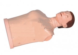 Half-body CPR Training Mankin